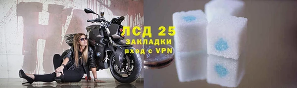 гидропоника Горняк