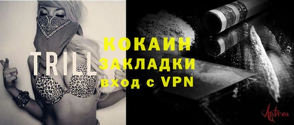 гидропоника Горняк