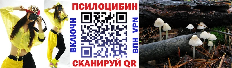 Псилоцибиновые грибы мицелий  Купить где  Терек 